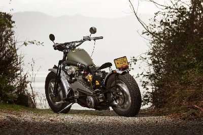 Harley Diesel  2018  - Jason S Photography-11 (1).jpg